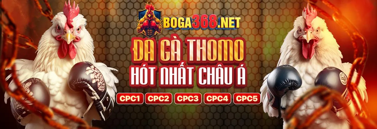 Hình ảnh chủ đạo của trang tin tức mcw678 code