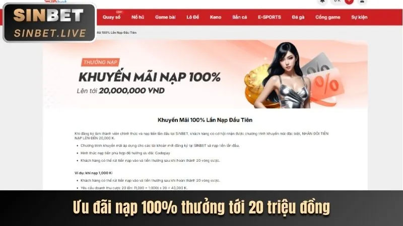 Minh họa MCW678 Code và các ưu đãi đặc biệt